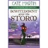 Bewitchment After the Storm: A Viking Witch Cozy Mystery