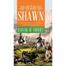 Shawn: The adventures of an Irish Immigrant to the US in the Late 19C