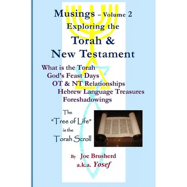 Musings Vol.#2 - Exploring the Torah & New Testament