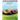 Antique Cars and Vintage Cars Large Print Dot-to-Dot: Dot-to-Dot Book For Adults