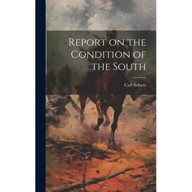 Report on the Condition of the South