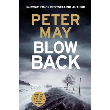Blowback: The Exciting Penultimate Case in the Addictive Crime Series (the Enzo Files Book 5)