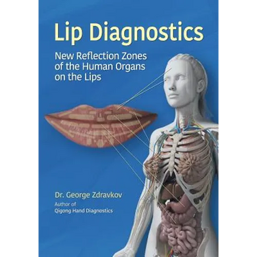 Lip Diagnostics: New Reflection Zones of the Human Organs on the Lips