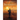 The Transmigrant