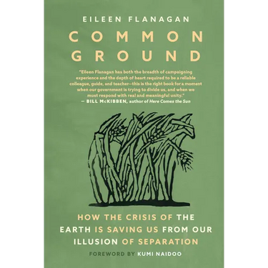 Common Ground: How the Crisis of the Earth Is Saving Us from Our Illusion of Separation