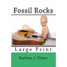 Fossil Rocks
