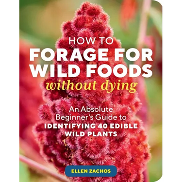 How to Forage for Wild Foods Without Dying: An Absolute Beginner's Guide to Identifying 40 Edible Wild Plants