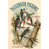 Passenger Pigeons: Gone Forever