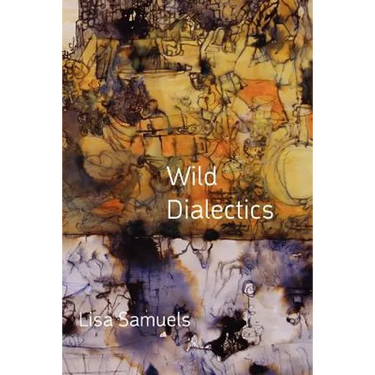 Wild Dialectics