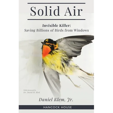 Solid Air: Invisible Killer- Saving Birds from Windows