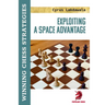 Exploiting a Space Advantage: Winning Chess Strategies