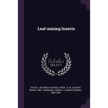 Leaf-mining Insects