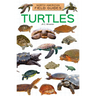 Turtles
