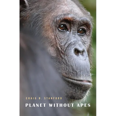 Planet Without Apes