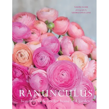 Ranunculus: Beautiful Varieties for Home and Garden