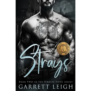 Strays: Angsty Gay Romance