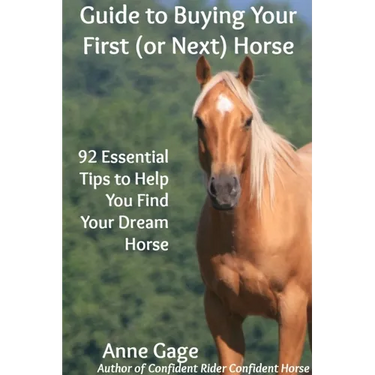 Guide to Buying Your First (or Next) Horse