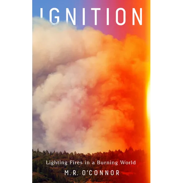 Ignition: Lighting Fires in a Burning World