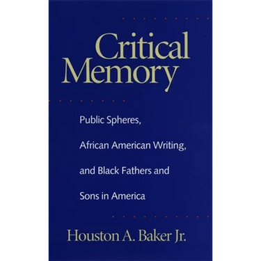 Critical Memory: Public Spheres, African American Writing, and Black Fathers and Sons in America
