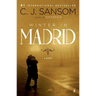 Winter in Madrid