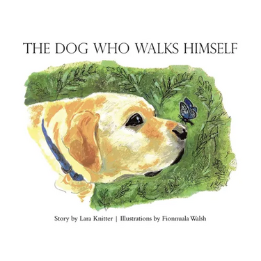 The Dog Who Walks Himself