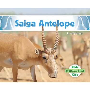 Saiga Antelope