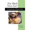 Zoe Died. What Now?: Finding Hope in Times of Loss