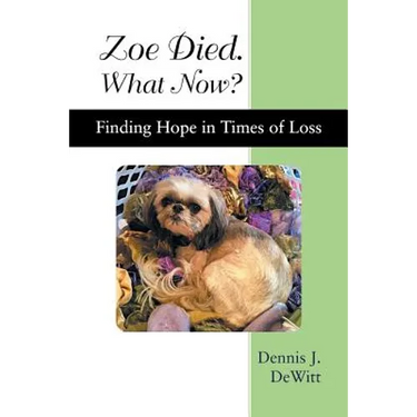 Zoe Died. What Now?: Finding Hope in Times of Loss