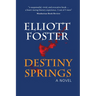 Destiny Springs