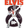 Rock and Roll Comics: Elvis Presley Experience: Special Hard Cover Edition