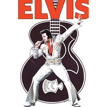 Rock and Roll Comics: Elvis Presley Experience: Special Hard Cover Edition