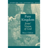 Pure Kingdom: Jesus' Vision of God