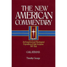 Galatians: An Exegetical and Theological Exposition of Holy Scripture Volume 30
