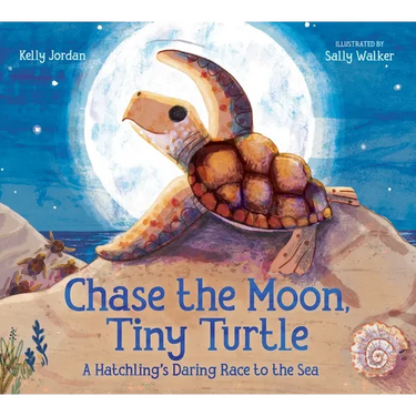 Chase the Moon, Tiny Turtle: A Hatchling's Daring Race to the Sea