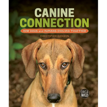Canine Connection: How Dogs and Humans Evolved Together