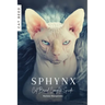 Sphynx: Cat Breed Complete Guide