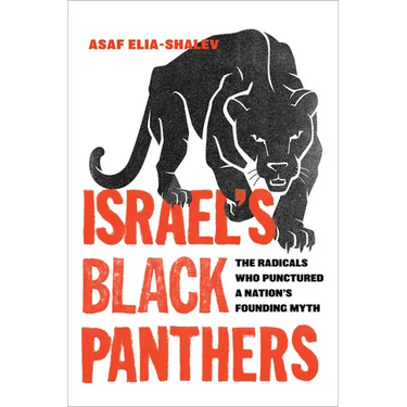 Israel's Black Panthers: The Radicals Who Punctured a Nation's Founding Myth