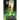 Recurve