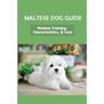 Maltese Dog Guide: Maltese Training, Characteristics, & Care: Alpha Dog For Maltese Dog