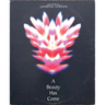 A Beauty Has Come