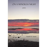 On a Windless Night