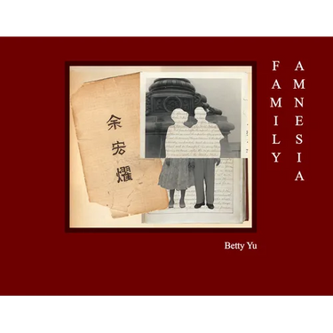 Family Amnesia: Chinese American Resilience