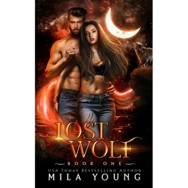 Lost Wolf: Paranormal Wolf Shifter Romance