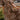 fb95184b-0ad9-4138-8c01-59fec927205b-Max