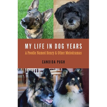 My Life in Dog Years: A Poodle Named Henry and Other Melodramas