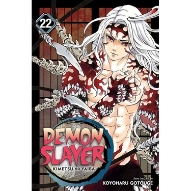 Demon Slayer: Kimetsu No Yaiba, Vol. 22: The Wheel of Fate
