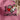 fcd4d992dd104d1ea10167be7ae6e64a-Max