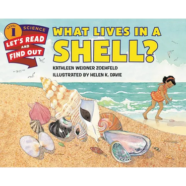 What Lives in a Shell?