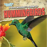 A Bird Watcher's Guide to Hummingbirds
