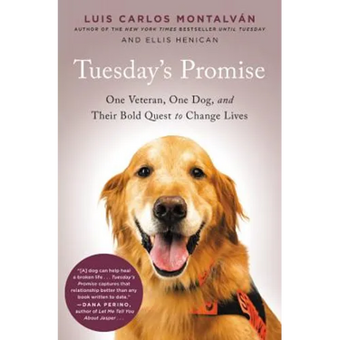 Tuesday's Promise